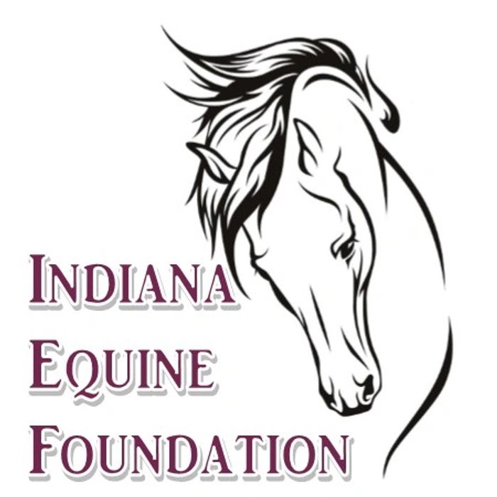 Indiana Equine Foundation Horse Shows Lafayette, Indiana